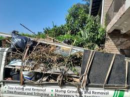 Types of Items We Remove From Your Property in De Graff, OH